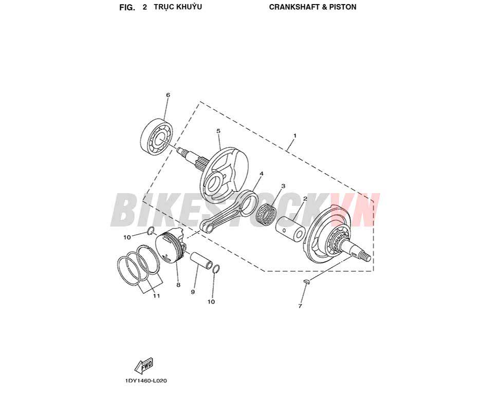 FIG-2_TRỤC KHUỶU